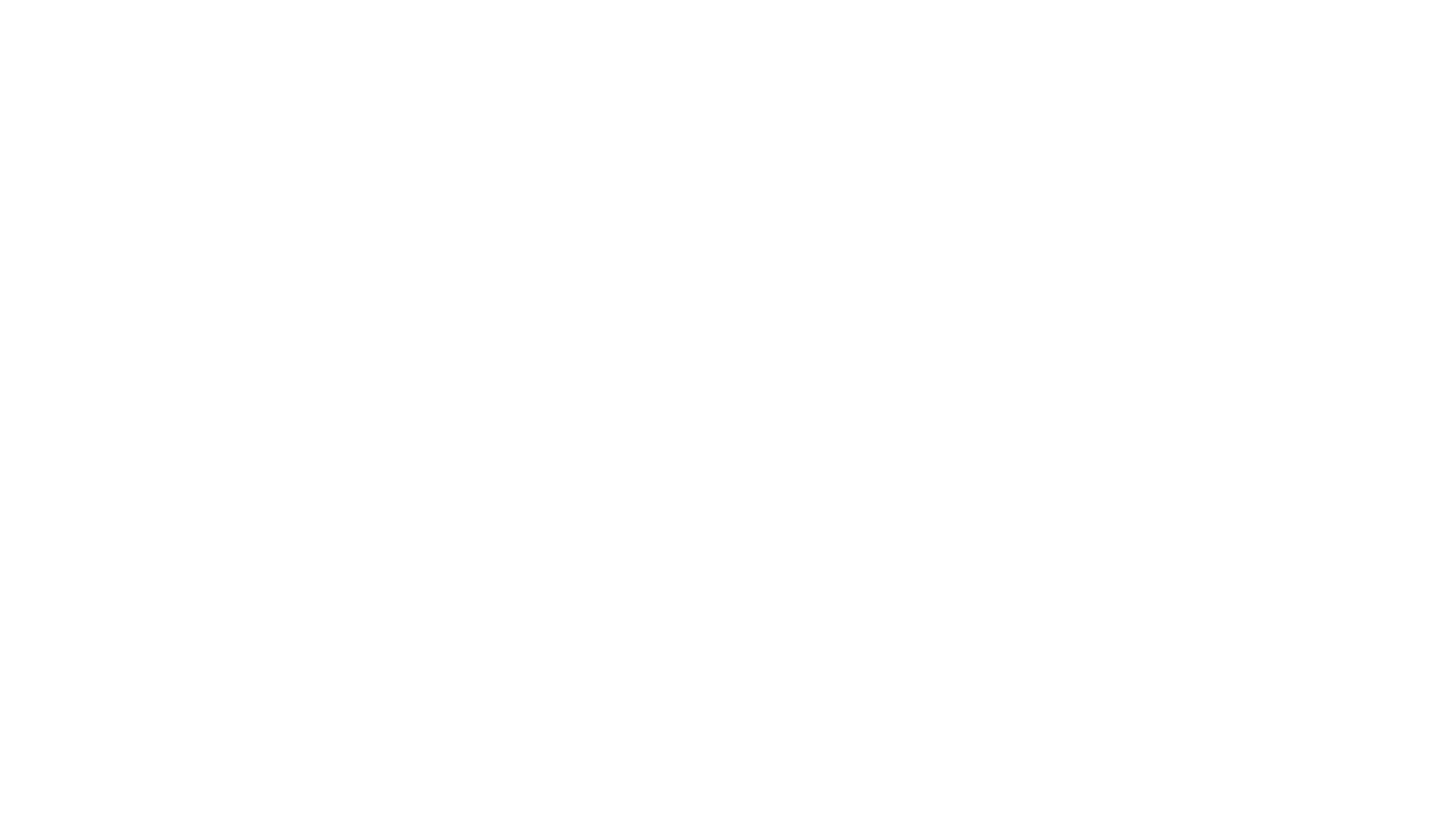 ZLM Tour 2026 Partnerlogo Gemeente Bergen op Zoom Wit