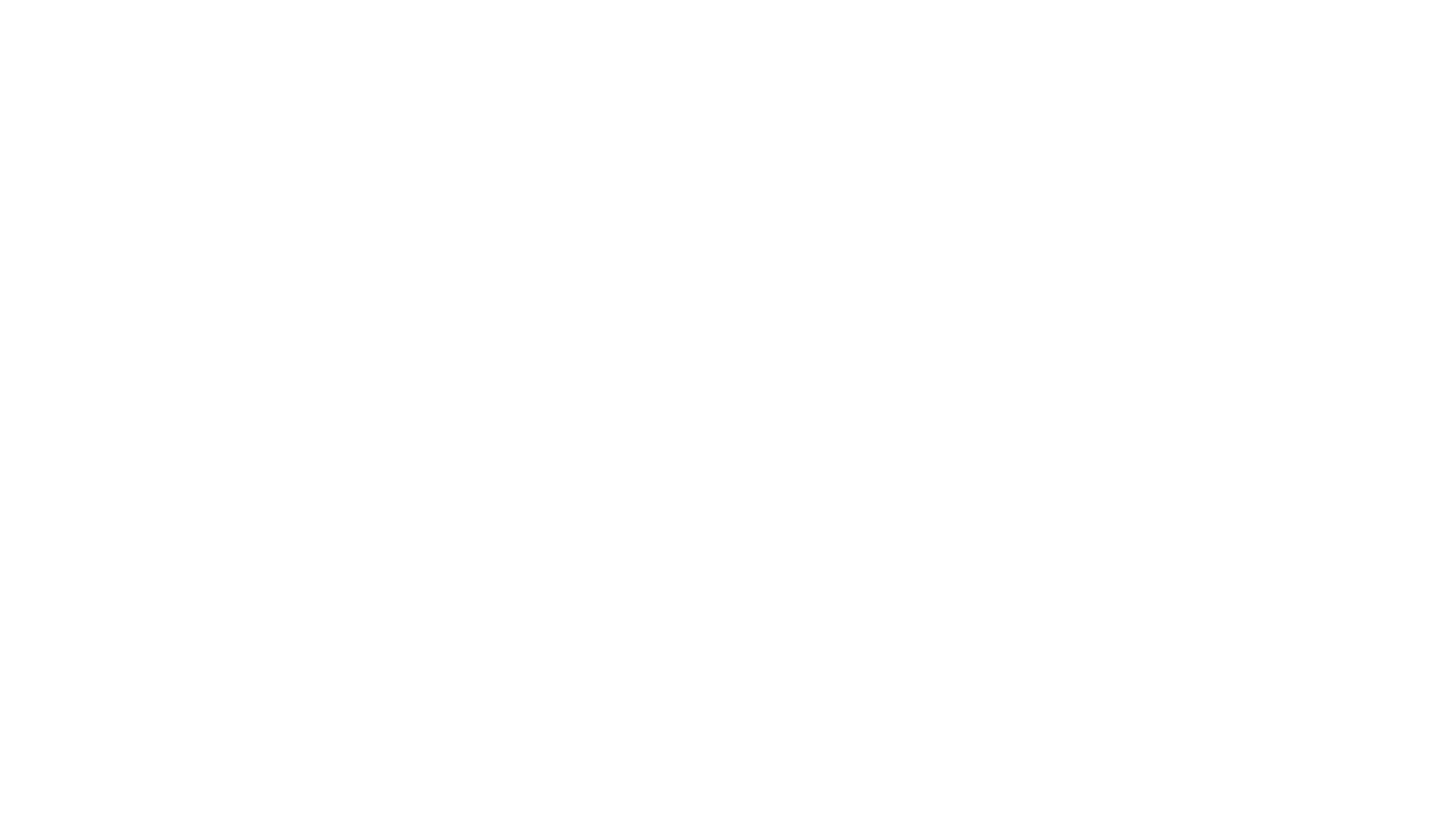 ZLM Tour 2026 Partnerlogo Gemeente Borsele Wit