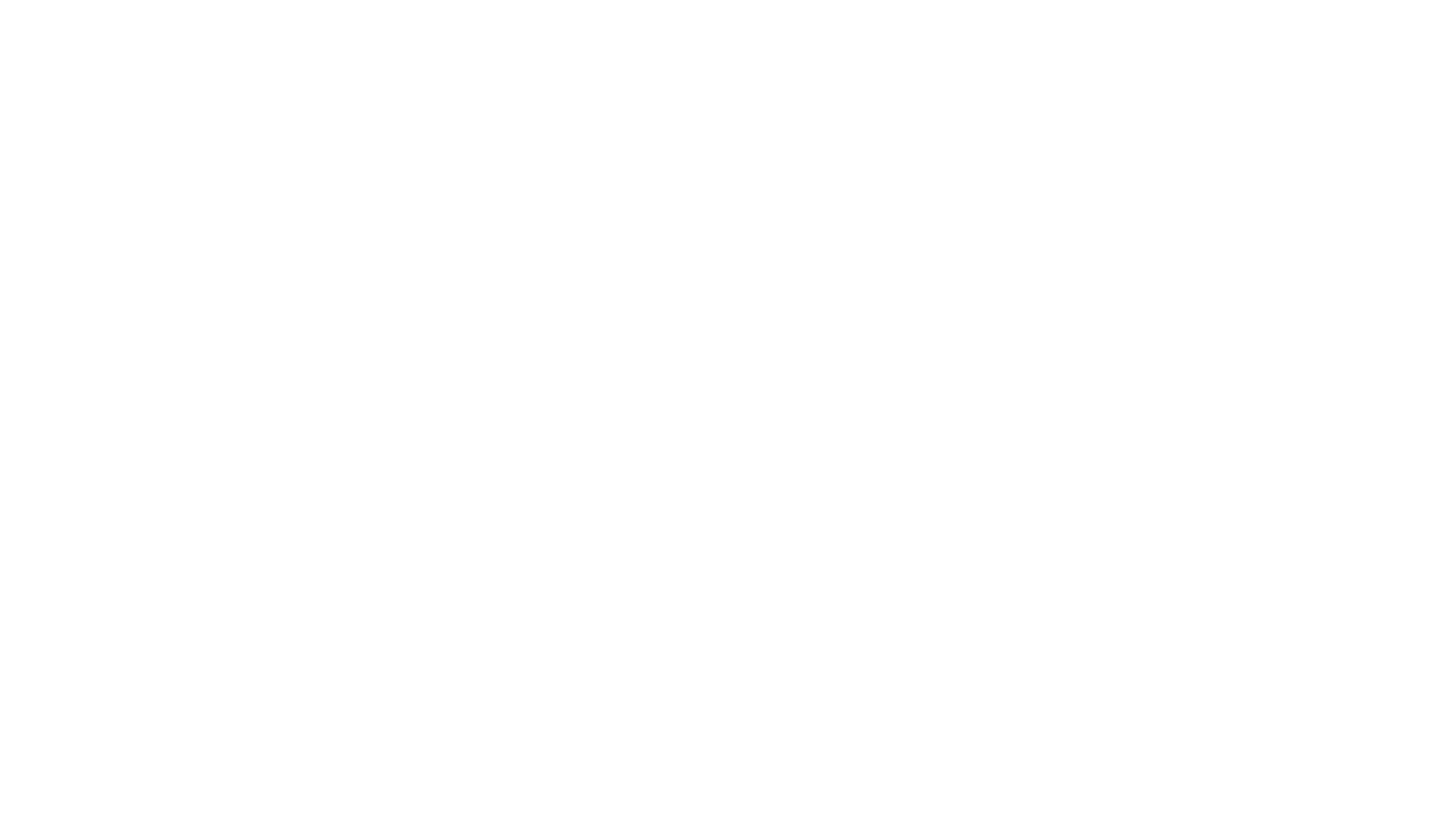 ZLM Tour 2026 Partnerlogo Reysport Wit